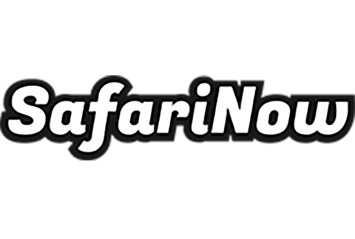 Safari Now Safari Now