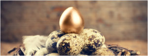 Hotel reviews are the golden egg