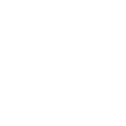 countries-icon-white