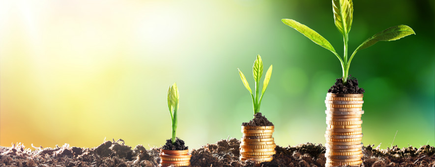 sustainable hotels