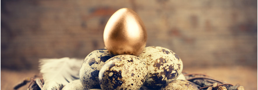 Hotel reviews are the golden egg